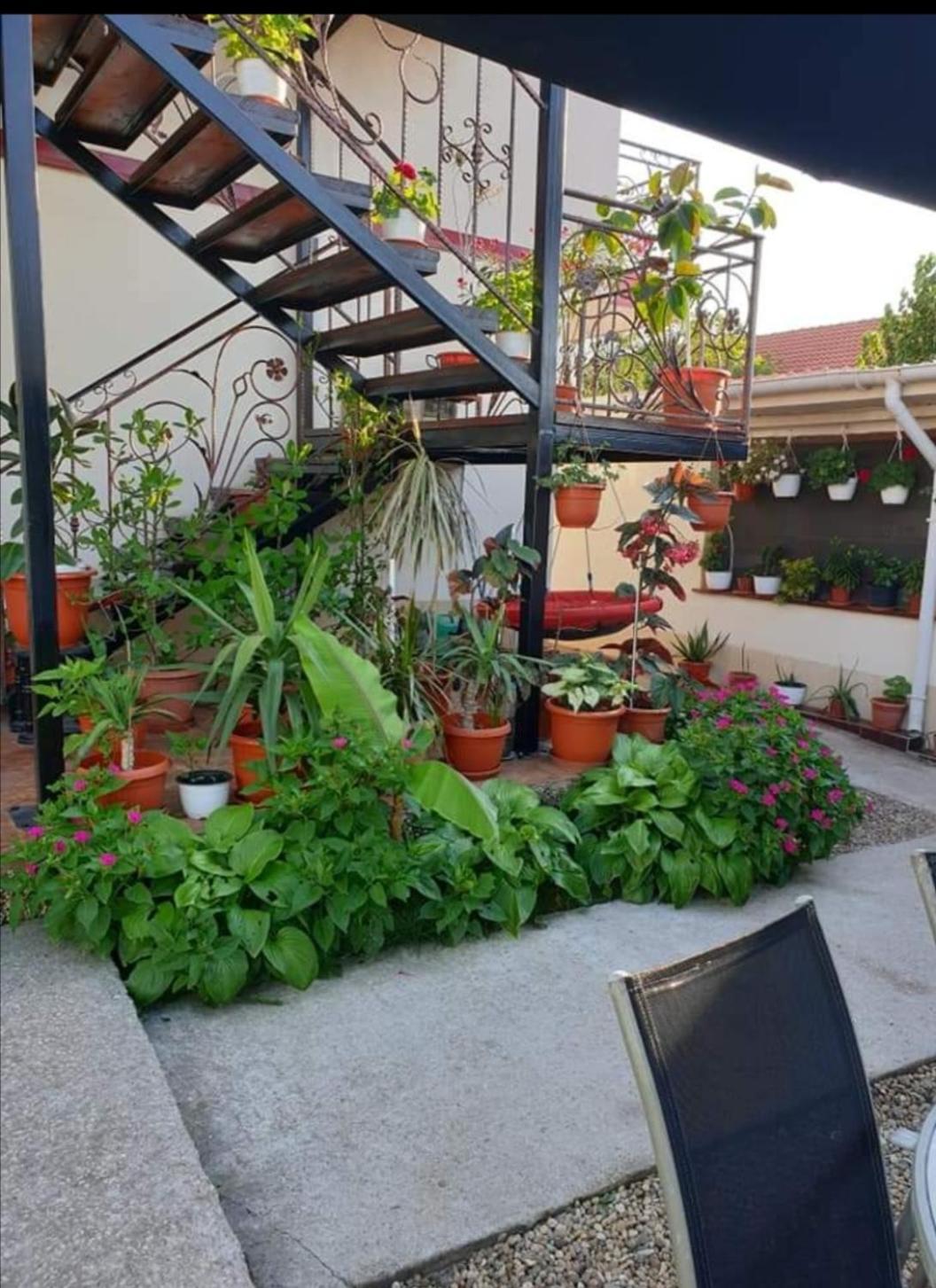 Vila Robert Hotel Schitu Bagian luar foto