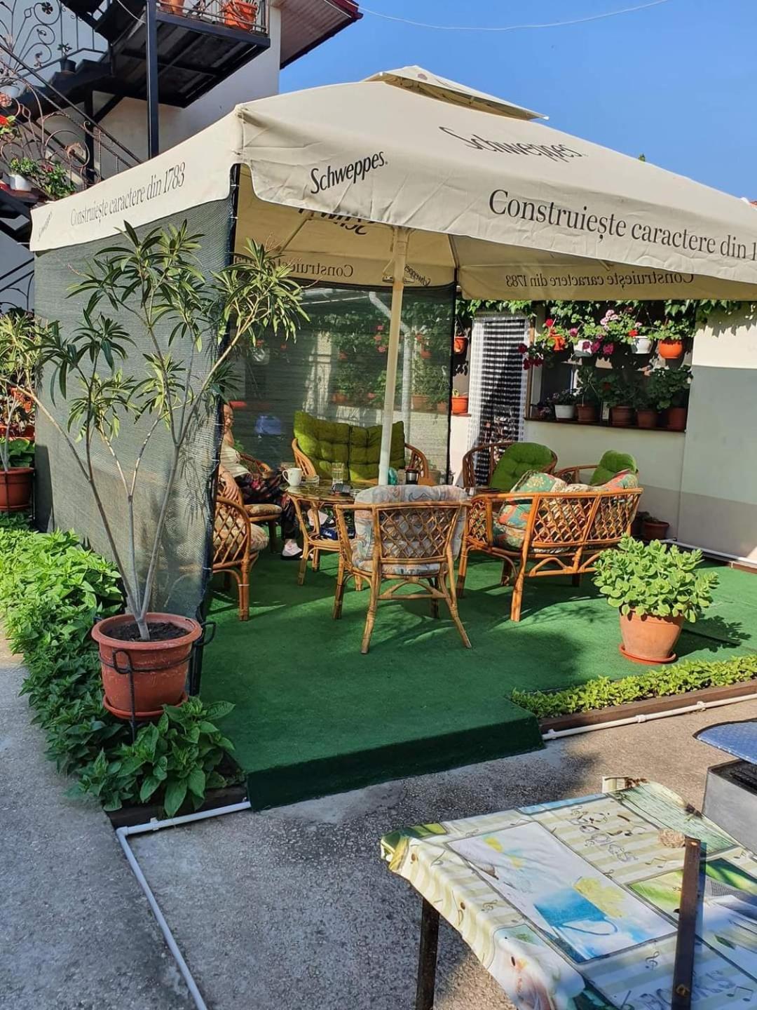 Vila Robert Hotel Schitu Bagian luar foto