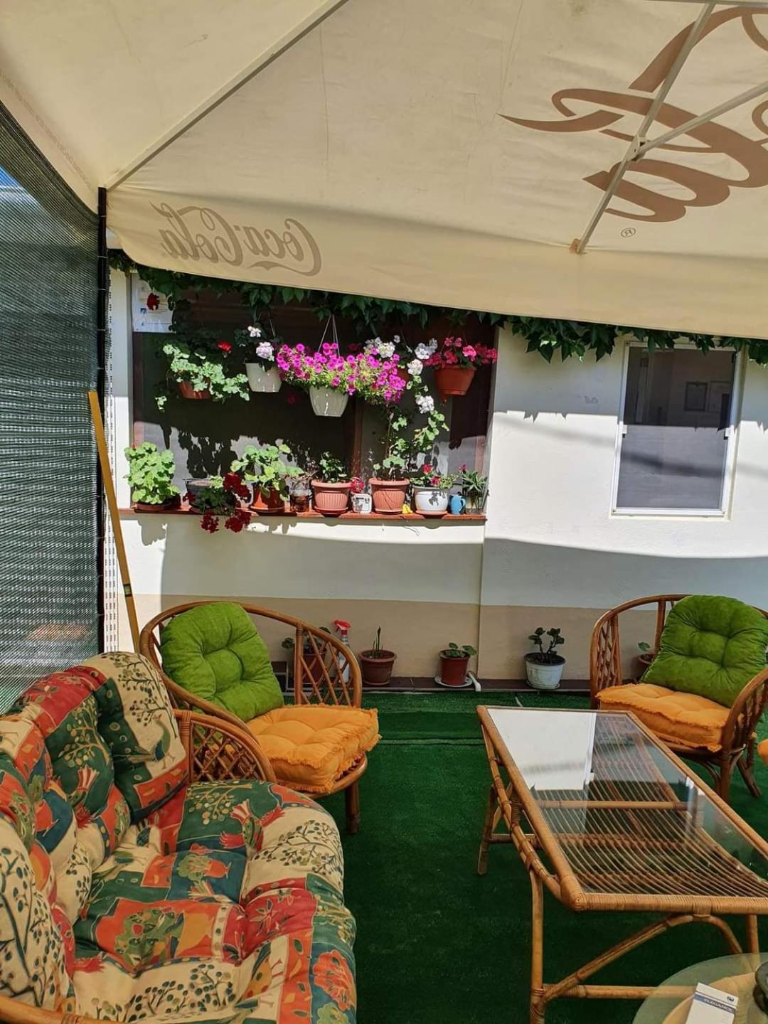 Vila Robert Hotel Schitu Bagian luar foto