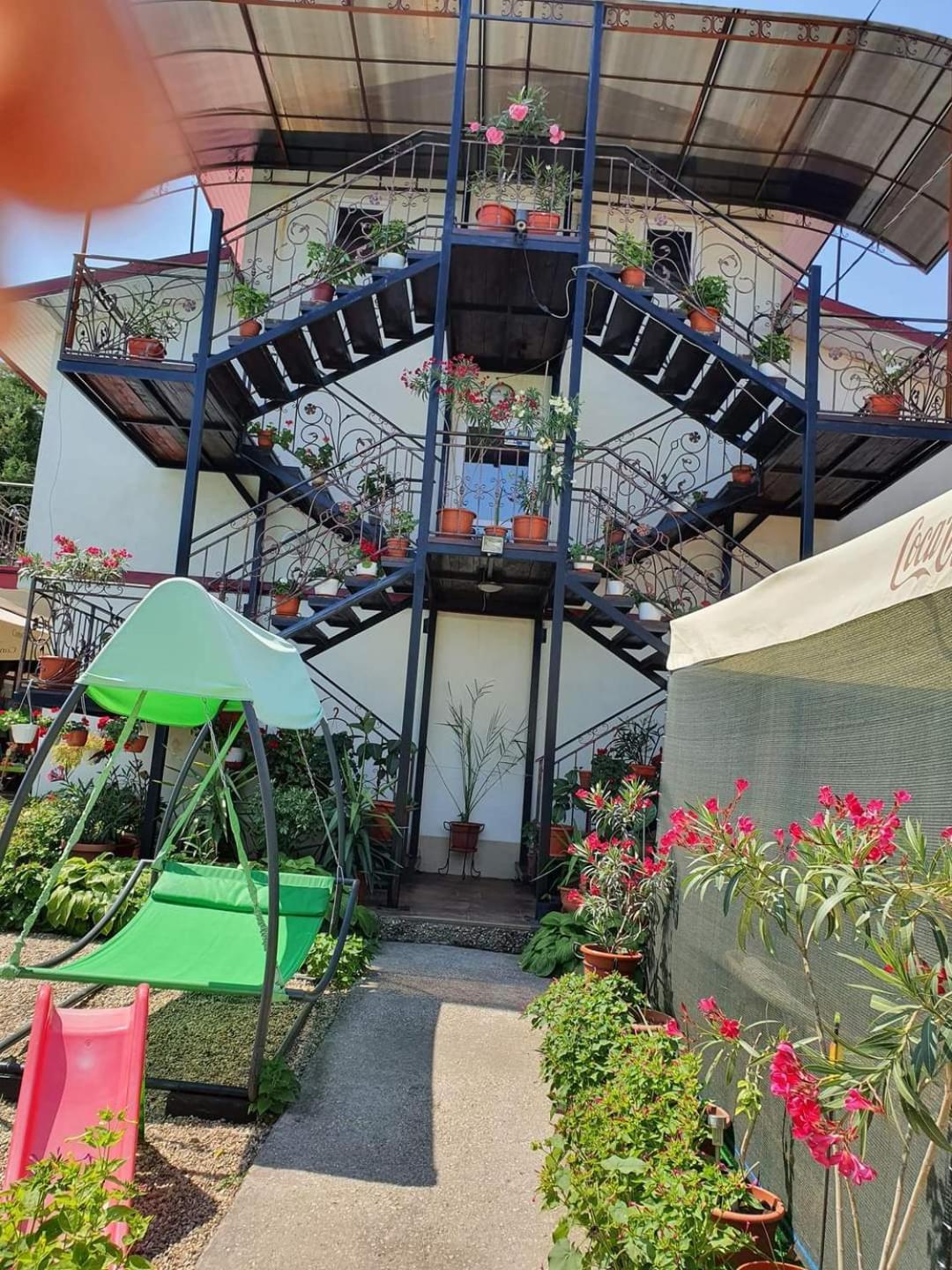 Vila Robert Hotel Schitu Bagian luar foto
