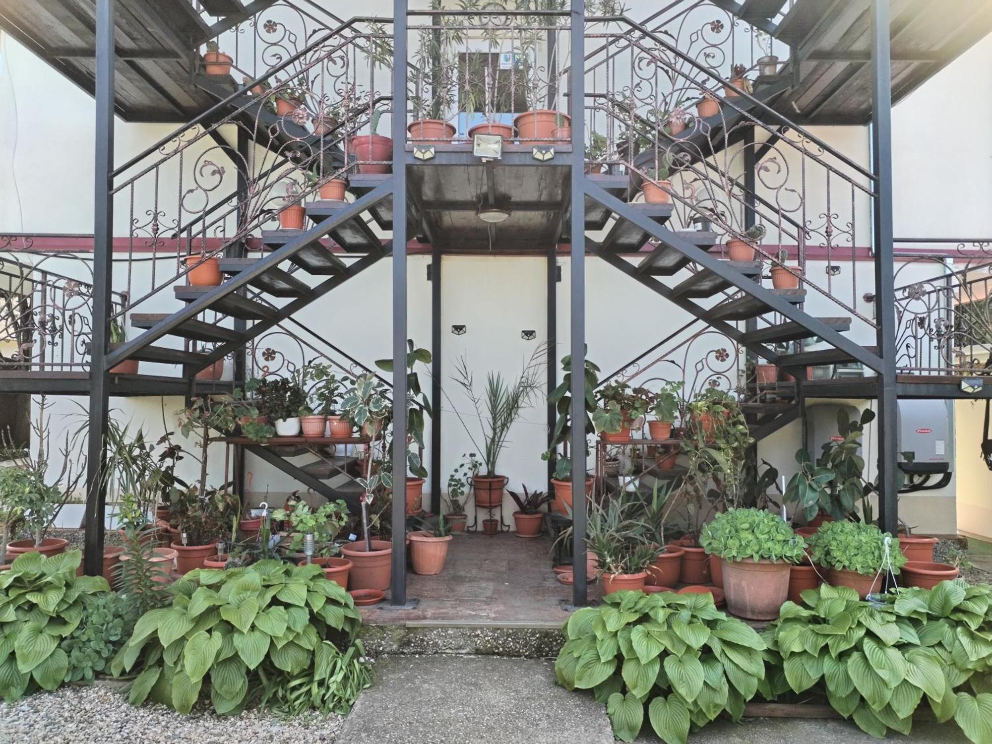 Vila Robert Hotel Schitu Bagian luar foto